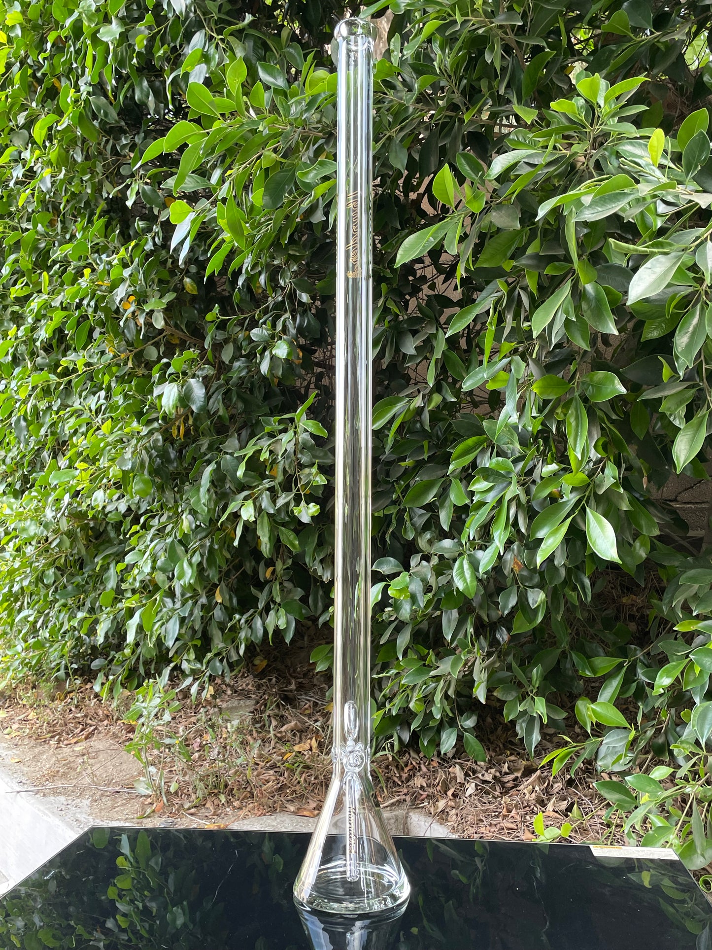 Thunder Glass Durable