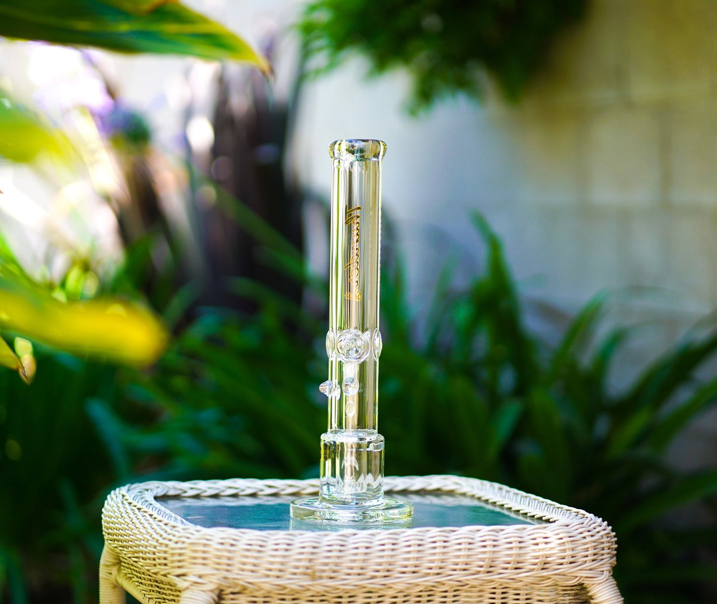 Thunder Glass HGSC15-CLEAR
